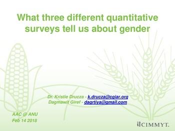 What three different quantitative surveys tell us about gender