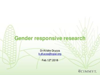 Gender responsive research
