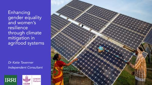 Enhancing gender equality and women’s resilience through climate mitigation in agri-food systems