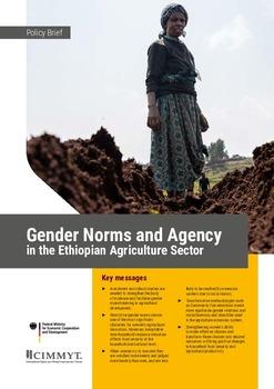 Gender norms and agency in the Ethiopian agriculture sector: policy brief