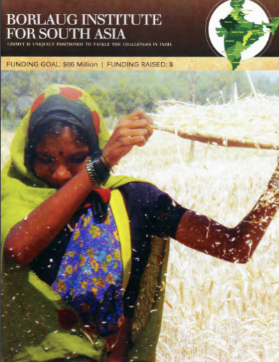 Borlaugh Institute for South Asia: CIMMYT is uniquely positioned to tackle the challenges in India