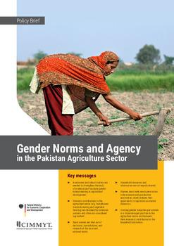 Gender norms and agency in the Pakistan agriculture sector: policy brief