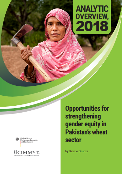 Analytic overview, 2018: opportunities for strengthening gender equity in Pakistan’s wheat sector