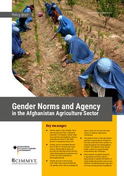Gender norms and agency in the Afghanistan agriculture sector: policy brief