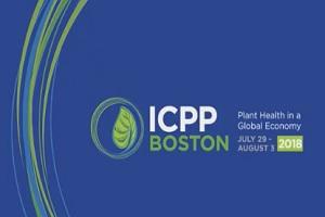 Exploring genebank for identification of biotic–abiotic combined tolerance in wild Phaseolus