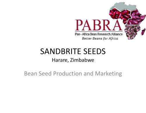 Bean Seed Production and Marketing