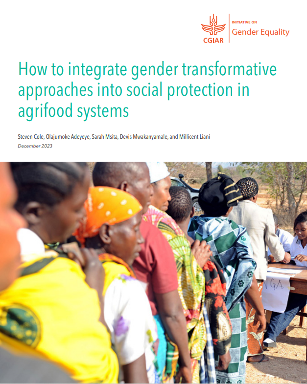 How to integrate gender transformative approaches into social protection in agrifood systems