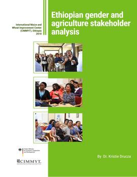 Ethiopian gender and agriculture stakeholder analysis