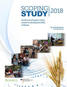 Scoping study: gender and social equity in wheat research for development (R4D) in Ethiopia