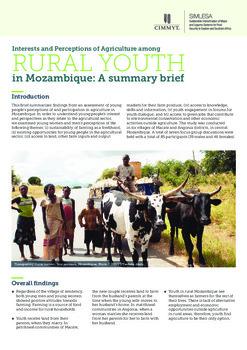 Interests and Perceptions of Agriculture among Rural Youth in Mozambique: A summary brief