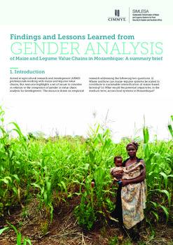 Findings and Lessons Learned from GENDER ANALYSIS of maize and legume value chains in Mozambique: A summary brief