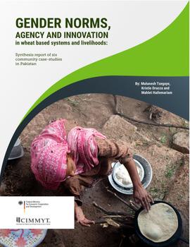 Gender norms agency and innovation in wheat-based systems and livelihoods: synthesis report of six community case studies in Pakistan