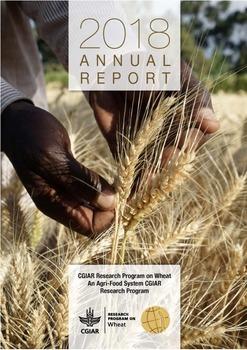 AFS-CRP Wheat Annual Technical Report 2018