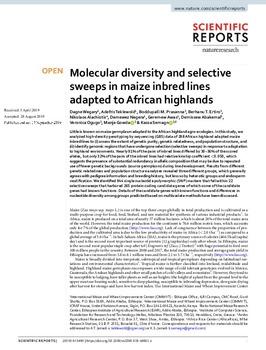 Molecular diversity and selective sweeps in maize inbred lines adapted to African highlands