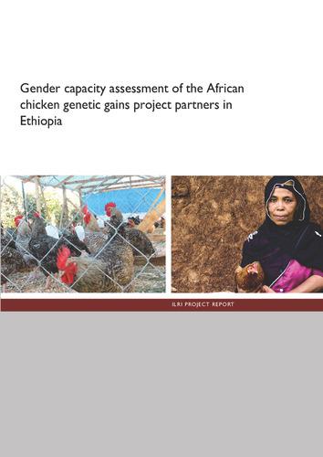 Gender capacity assessment of the African chicken genetic gains project partners in Ethiopia