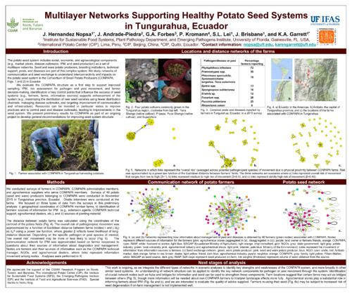 Multilayer networks supporting healthy potato seed systems in Tungurahua, Ecuador.