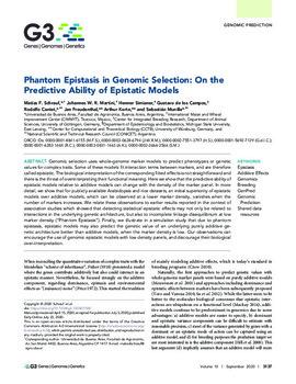 Phantom epistasis in genomic selection: on the predictive ability of epistatic models