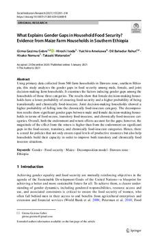 What explains gender gaps in household food security? Evidence from maize farm households in southern Ethiopia
