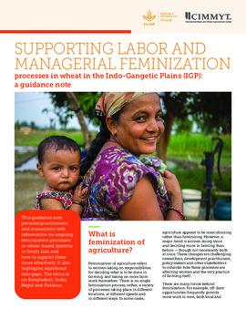 Supporting labor and managerial feminization processes in wheat in the Indo-Gangetic Plains (IGP): a guidance note