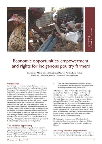 Economic opportunities, empowerment, and rights for indigenous poultry farmers