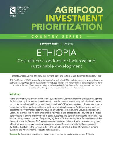 Ethiopia: Cost effective options for inclusive and sustainable development