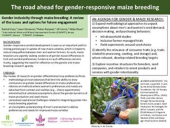 Gender inclusivity through maize breeding: a review of the issues and options for future engagement