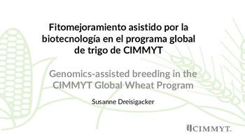 Fitomejoramiento asistido por la biotecnología en el programa global de trigo de CIMMYT = Genomics-assisted breeding in the CIMMYT Global Wheat Program