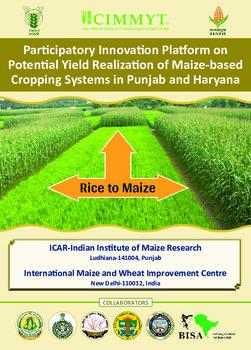 Participatory innovation platform on potential yield realization of maize-based cropping systems in Punjab and Haryana