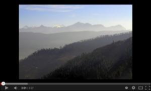 India: thank you, climate change?