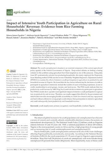 Impact of intensive youth participation in agriculture on rural households' revenue: evidence from rice farming households in Nigeria