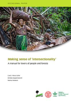 Making sense of ‘intersectionality’: A manual for lovers of people and forests