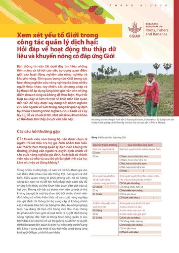 Considering gender in pest and disease management: FAQs for gender-responsive data collection and extension work (Vietnamese).