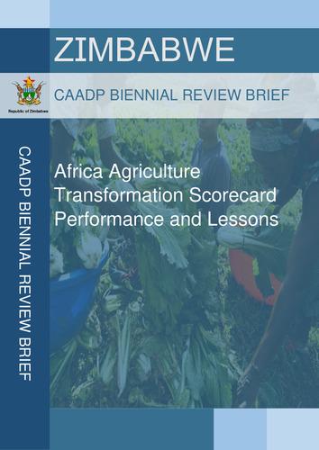 Africa agriculture transformation scorecard performance and lessons for Zimbabwe