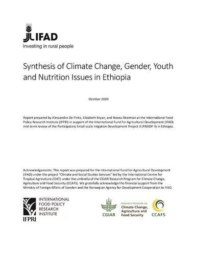 Climate change, gender, youth and nutrition situation analysis - Ethiopia