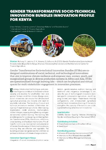 Gender transformative socio-technical innovation bundles innovation profile for Kenya