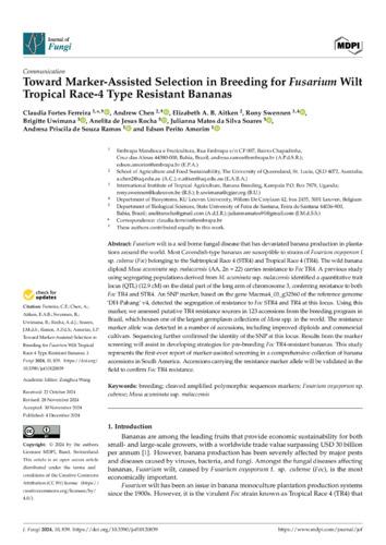 Toward marker-assisted selection in breeding for fusarium wilt tropical race-4 type resistant bananas