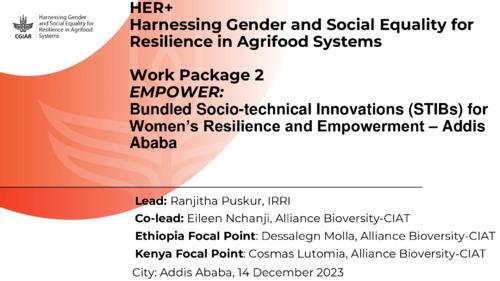 Bundled Socio-technical Innovations (STIBs) for Women’s Resilience and Empowerment- Addis Ababa