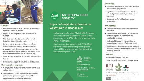 Impact of respiratory diseases on weight gain in Uganda pigs