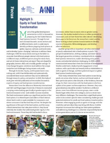 A4NH 2020 annual report highlights: Gender