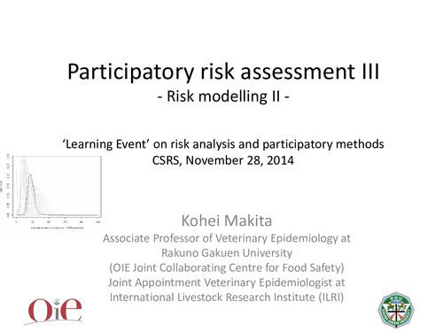 Participatory risk assessment: Risk modelling: II