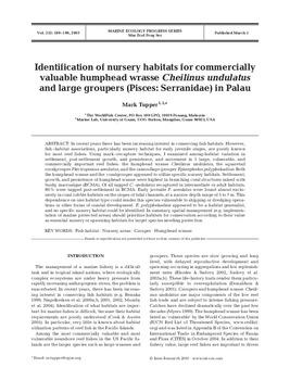 Identification of nursery habitats for commercially valuable humphead wrasse (Cheilinus undulatus) and large groupers (Pisces: Serranidae) in Palau