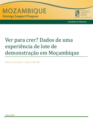 Seeing is Believing? Evidence from a Demonstration Plot Experiment in Mozambique
