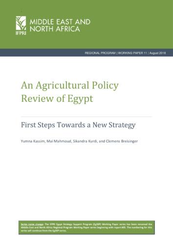 An agricultural policy review of Egypt: First steps towards a new strategy