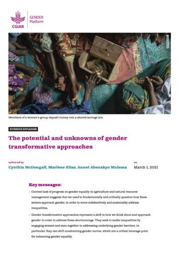 The potential and unknowns of gender transformative approaches