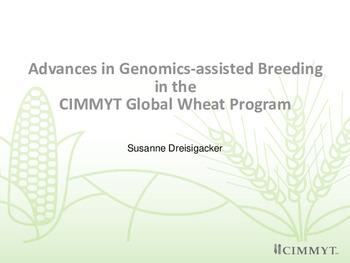 Advances in Genomics-assisted Breeding in the CIMMYT Global Wheat Program