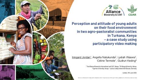 Perception and attitude of young adults on their food environment in two agro-pastoralist communities in Turkana, Kenya – A case study using participatory video making