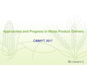 Approaches and progress in maize product delivery