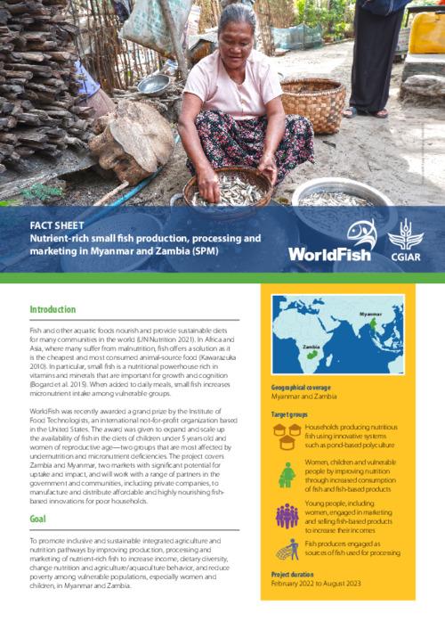 Nutrient-rich small fish production, processing and marketing in Myanmar and Zambia (SPM)