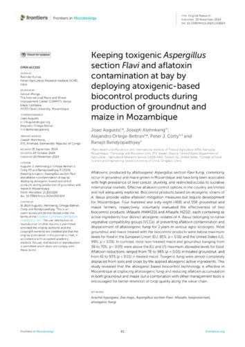 Keeping toxigenic Aspergillus section Flavi and aflatoxin contamination at bay by deploying atoxigenic-based biocontrol products during production of groundnut and maize in Mozambique