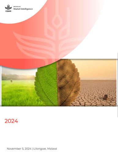 Climate change and extreme weather events in the cowpea growing regions of West Africa: implications for cowpea breeding